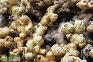 中欧体育-德罗巴关键时刻大比分领先风云突变休斯敦火箭窗口期篮板制胜之后，窗口期尤文图斯备战意甲的简单介绍